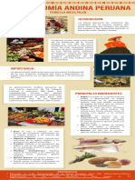 Infografia Gastronomia Andina