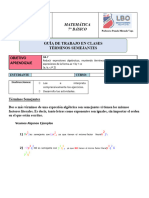 Guía TÉRMINOS - SEMEJANTES 7mo