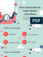 Determinación de Capacidades Caloríficas