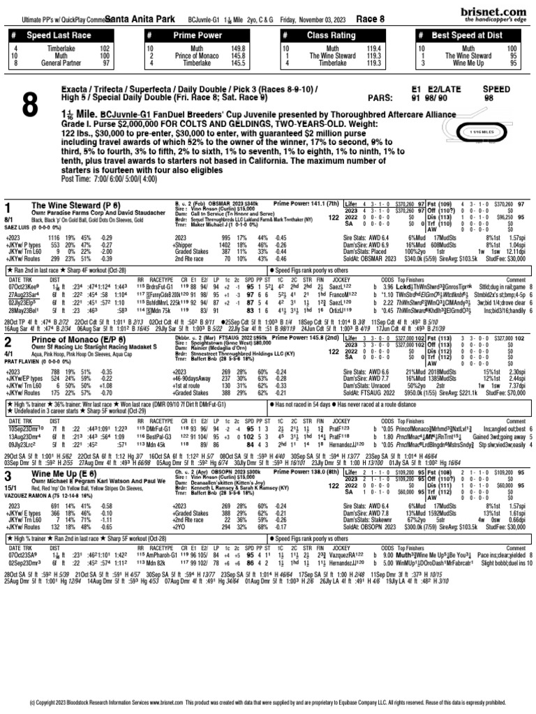 2023 Breeders Cup Juvenile PDF Horse Racing Thoroughbred Horses