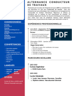 CV CT PDF