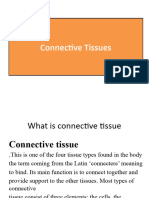 connective tissue - ١١١٥٥٠