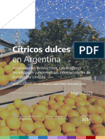 39 - Citricos Dulces - Argentina Productiva