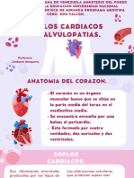 Valvulopatias Cardiacas.