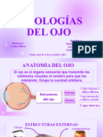 Patologías Del Ojo.