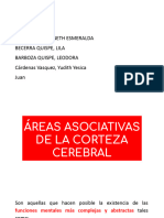 Grupo3 Áreas Asociativas