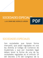 19 Sociedades Especiales