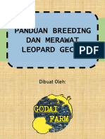 Panduan Breeding Dan Merawat Leopard Gecko