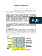 Free-Tema 5 Unió I Adhesió Cel Lular