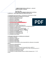 6h - AULA II - DOS PRINCÍPIOS DO PROCESSO PENAL