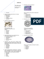 Soal Jaringan Tumbuhan