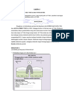 LKPD-2 (Rangkaian Sel Volta) (KD.3.2)