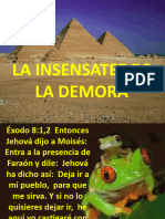 La Insensatez de La Demora