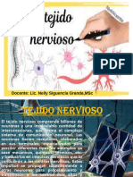 PDF Tejido Nervioso Clase 6