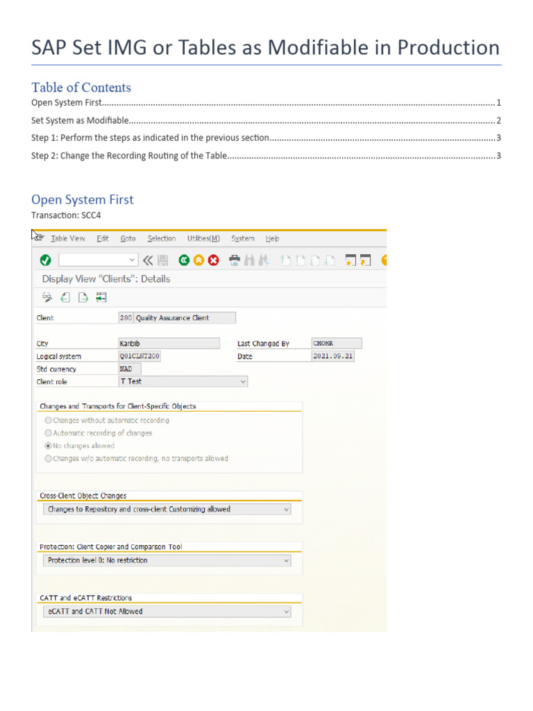 SAP Set IMG or Tables As Modifiable in Production PDF