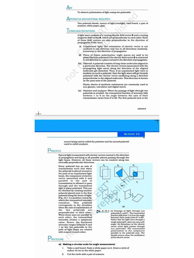 Class 12 Activity 4 | PDF