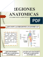 Regiones Anatomicas
