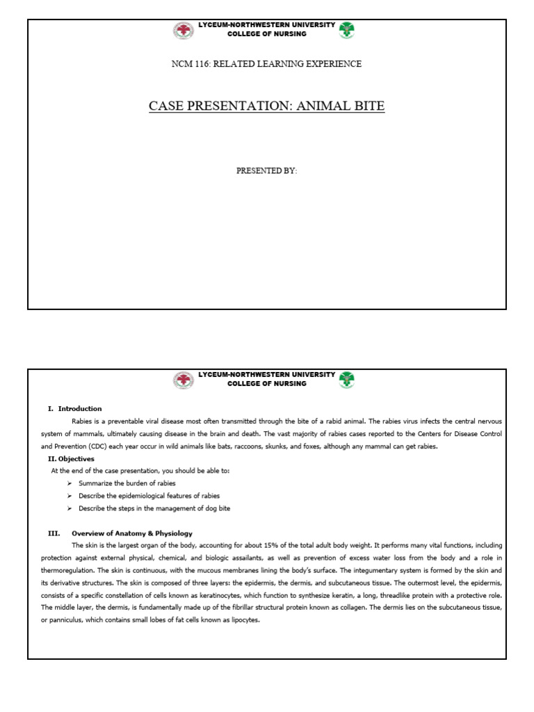 Managing Rabies from Animal Bites | PDF