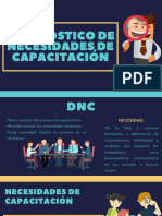 DIAGNOìSTICO DE NECESIDADES DE CAPACITACIOìN