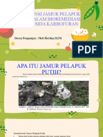 Jamur Pelapuk Putih