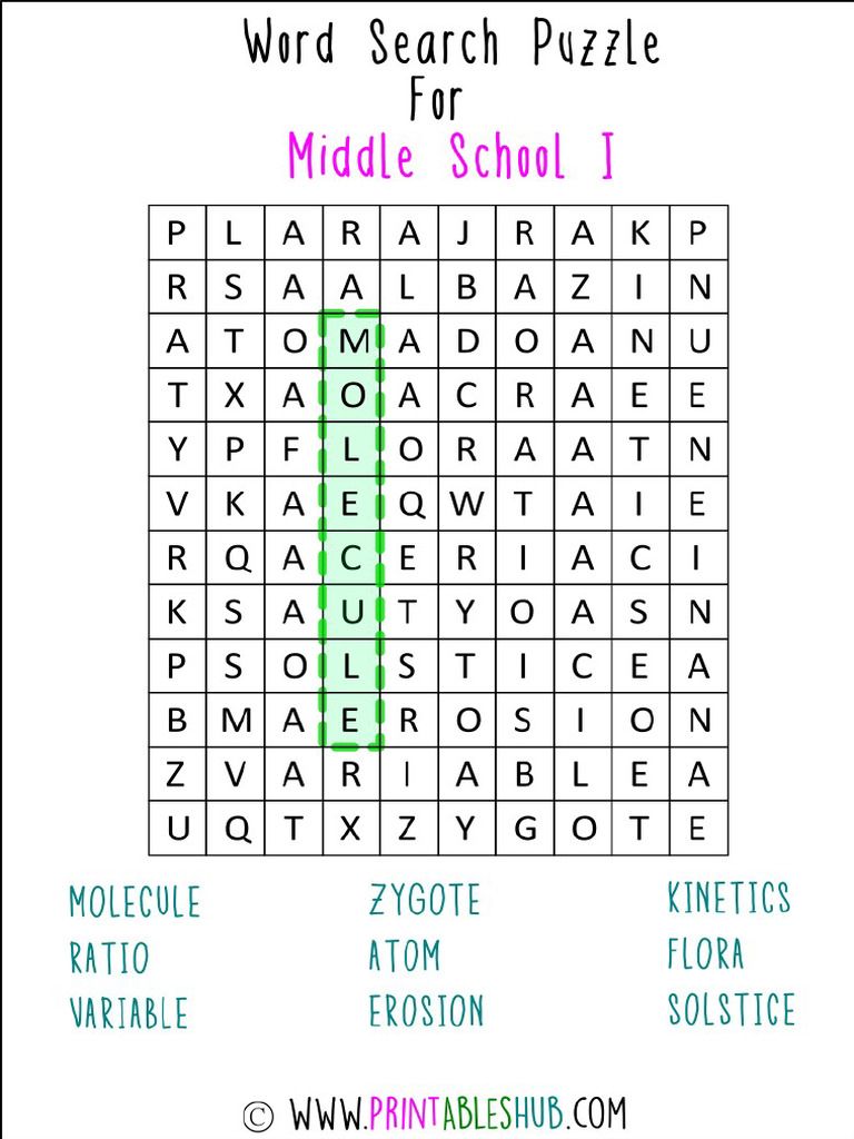 WordSearchPuzzleMiddleSchoolBundle PDF