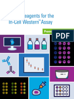 In Cell Western Reagents Ebook