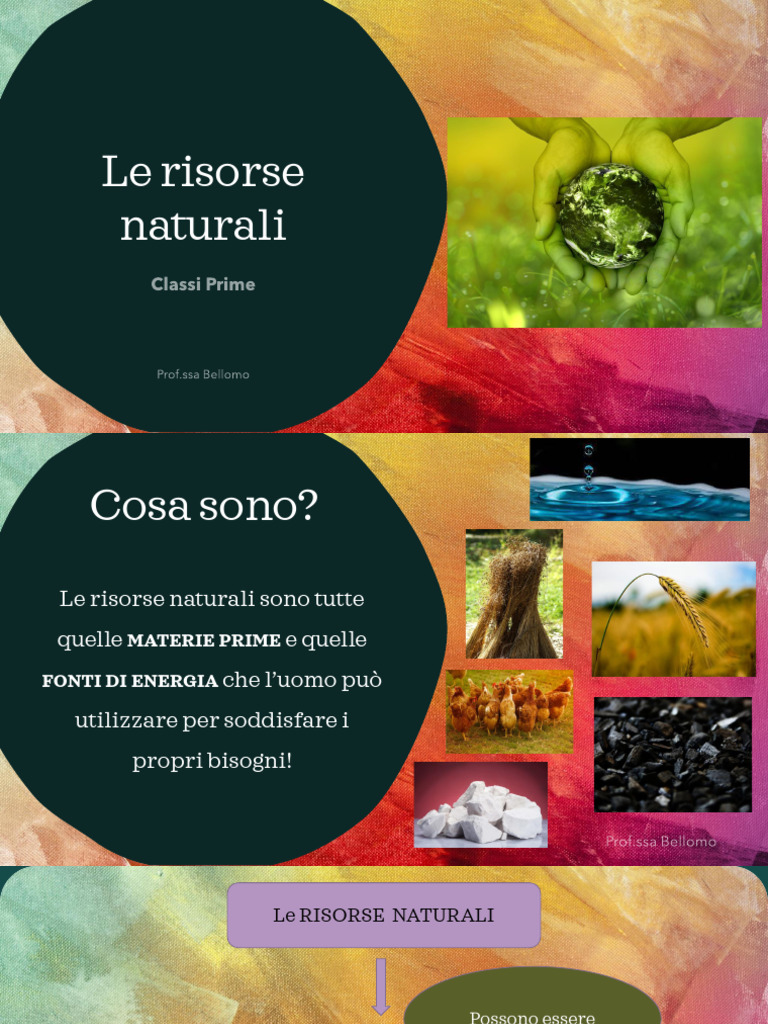 Le Risorse Naturali | PDF