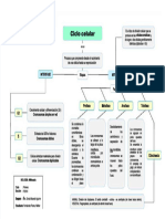 PDF Mapa Conceptual 12 Mitosis