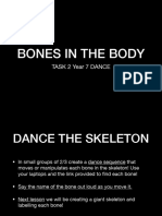 Skeleton Bones 