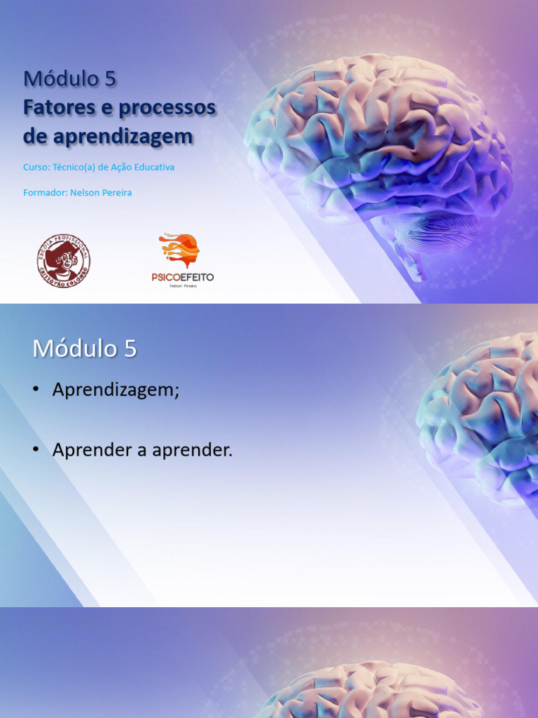 Fatores e Processos da Aprendizagem | PDF | Aprendizado | Reforço