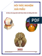 99 - Cau Hoi Giai Phau Dau - Mat - Co - Bs Tai - Co Dap An