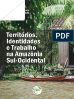 Territórios, Identidades e Trabalho Na Amazônia Sul-Ocidental