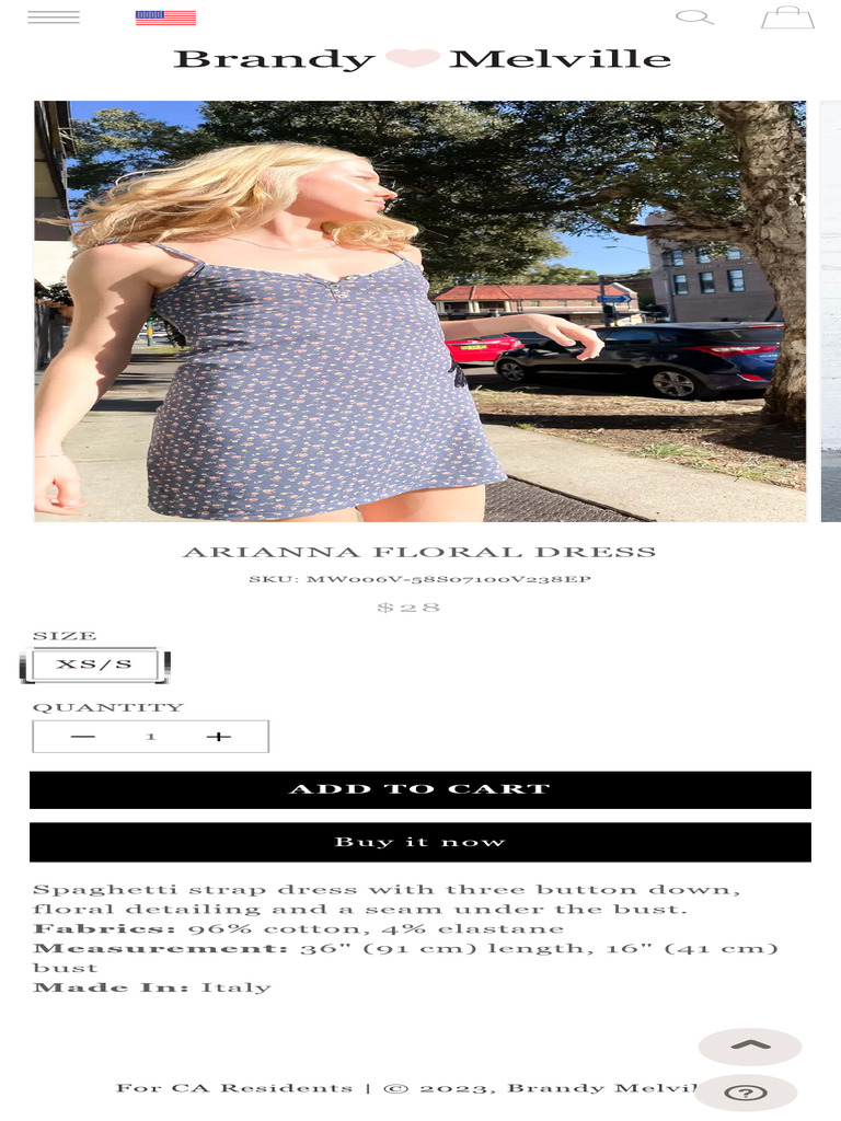 Arianna Floral Dress Brandy Melville PDF