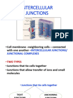 Intercellular Junctions
