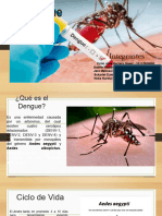 Presentacion Dengue Grupo Comayagua - CIS Jose Maria Ochoa 