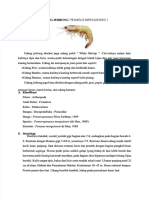 PDF Makalah Jenis Udang Laut - Compress