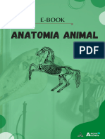 #Anatomia Animal