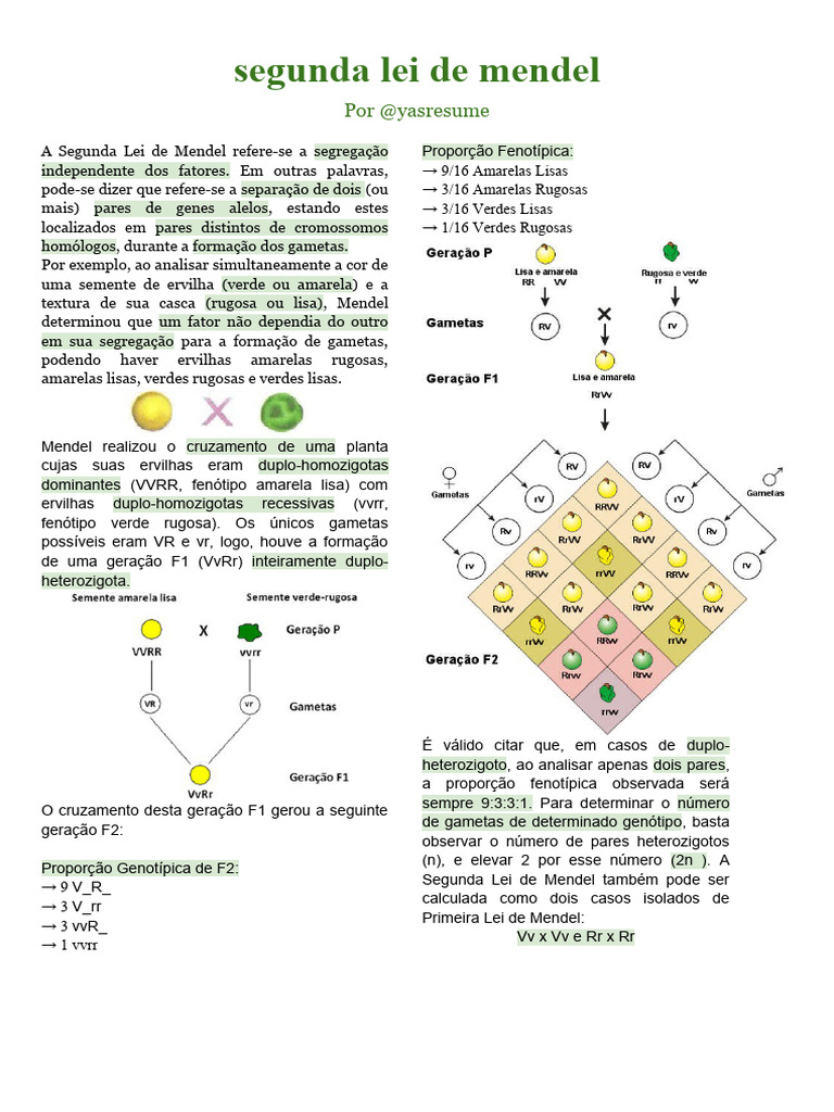 Segunda lei de Mendel | PDF