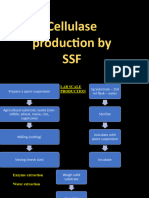 Cellulase Production by SSF