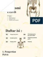 Presentasi Anatomi Pelvis Kelompok 3