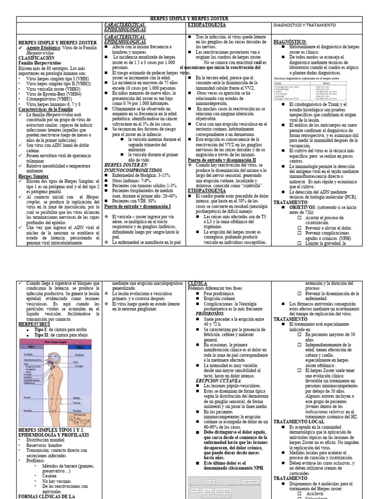 Herpes Simplex y Zoster: Diagnóstico y Tratamiento | PDF | Hepatitis ...