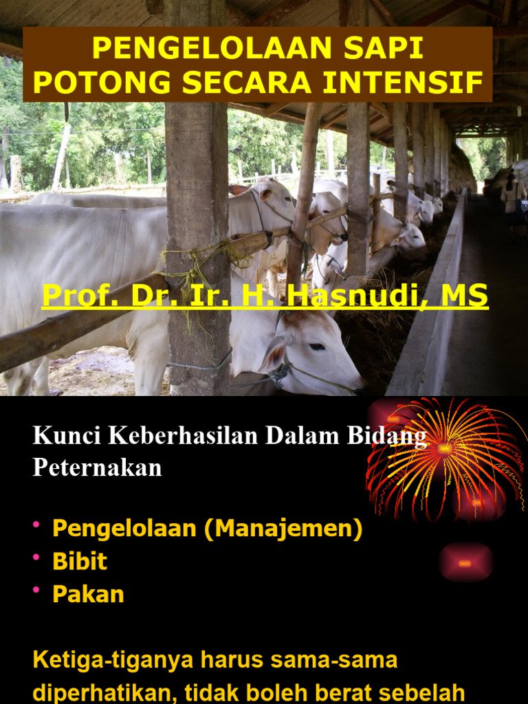 Manajemen Sapi Potong | PDF | Kesehatan Holistik | Teknologi & Rekayasa