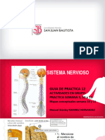 GUIA de PRACTICA 12 Semana 11 - Sisitema Nervioso Manuel Ramirez