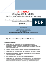 03 - Pathology CELL INJURY L2 Medical Sept. 2019