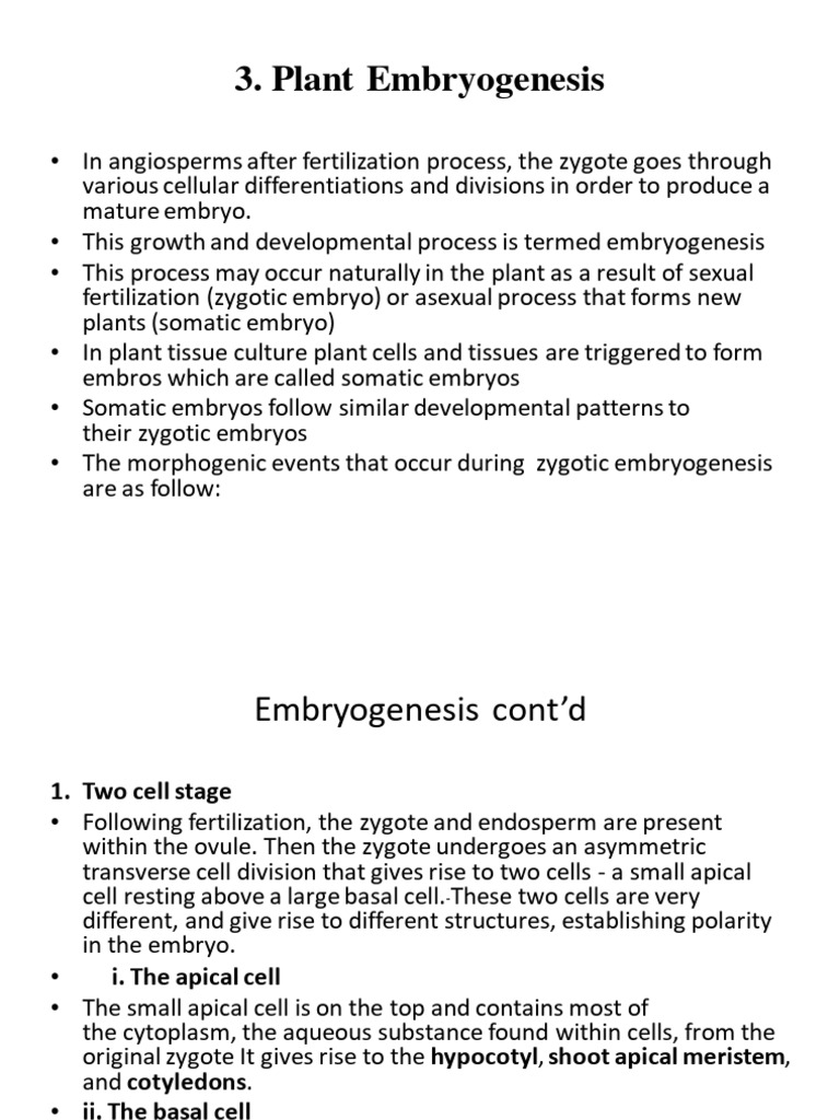 Flowering plants forms and functions bot 102 2 2023 1 pdf seed