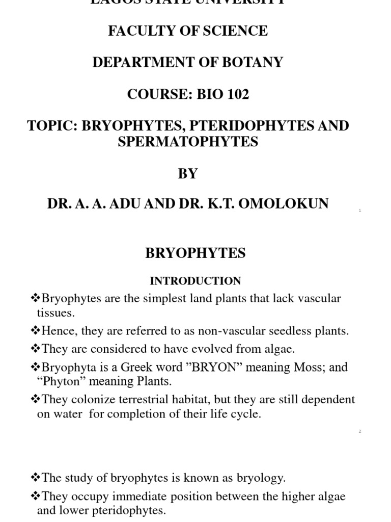 Bio 102 Powerpoint 112601 Pdf Moss Fern