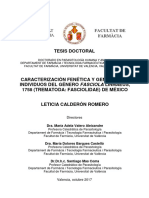 Tesis PDF 06 11 2017