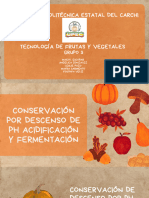 Orange Illustrated Organic and Sustainable Food Presentation