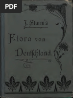 hängepflanzen farn Anfänger Farn main image 0