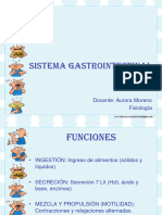 Sistema Gastrointestinal